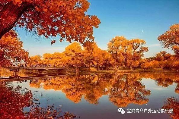 植物大战僵尸