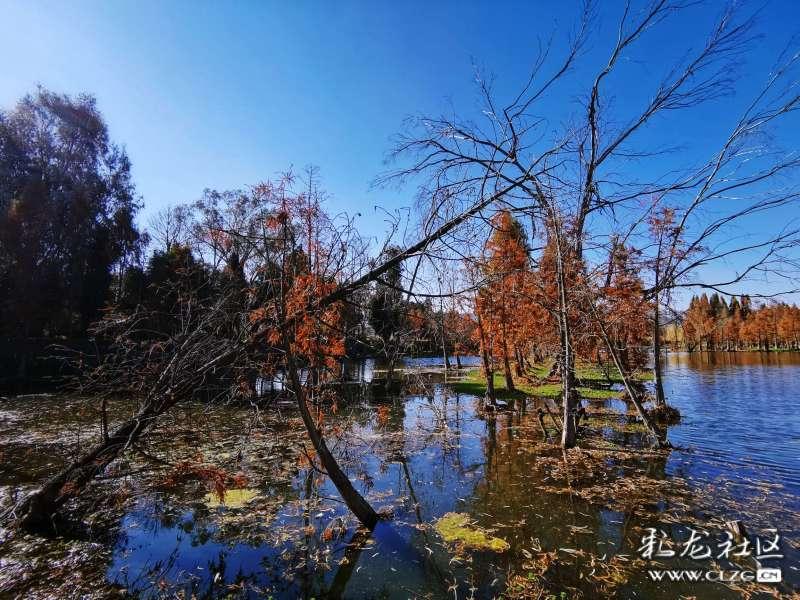 博兴农商银行纯化支行开展“赶大集 迎新年”腊八节志愿服务活动