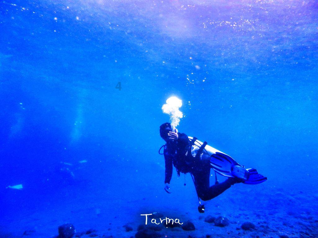 海贼船
