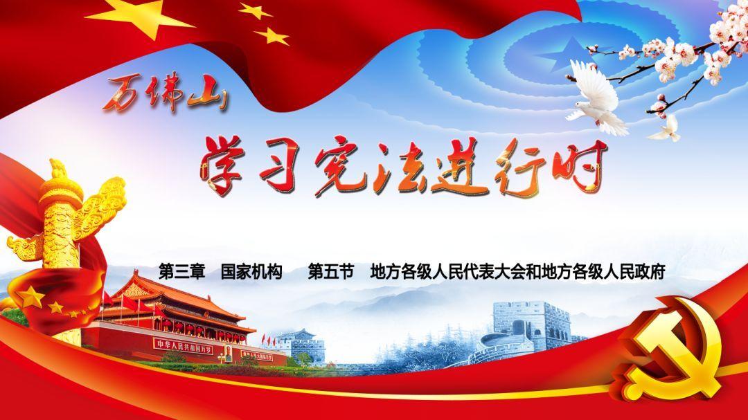 拯救机灵鸟